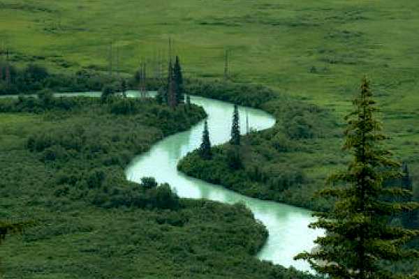 Moose Valley Experience - Land Rover Scenic Excursion